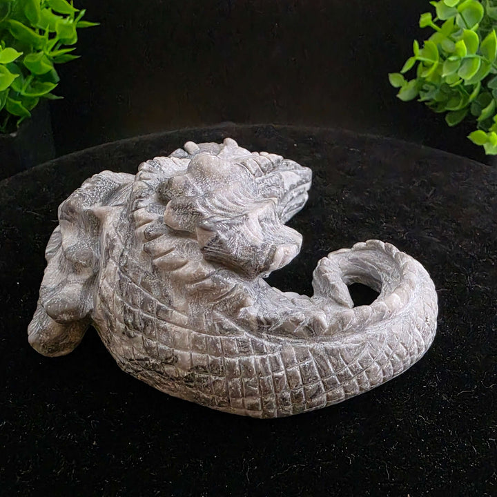 Sleeping Dragon Carvings - Picasso Jasper - 4in
