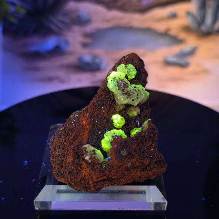 Vibrant Adamite Specimen from Ojuéla Mine exhibiting glowing green crystal formations.