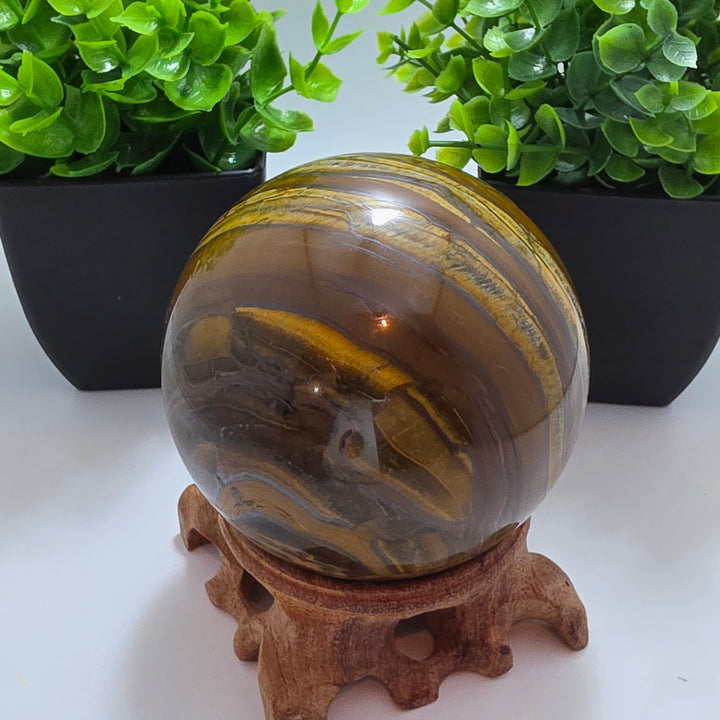 Tiger Iron Polished Sphere Ball - 3.2 Inch displayed on a wooden stand with decorative plants in the background.