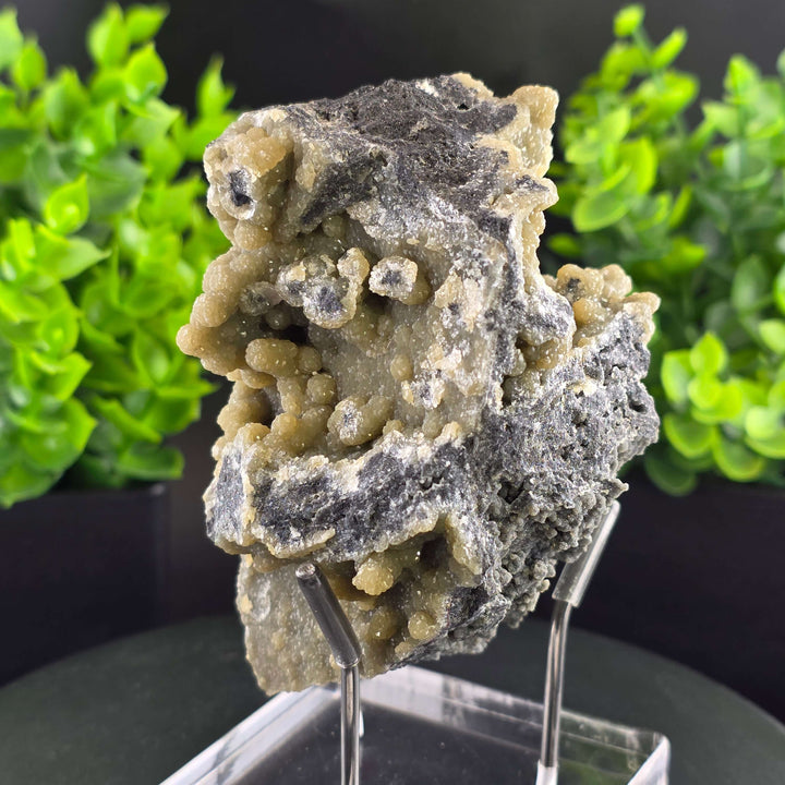 Smithsonite Specimen from Ojuela Mine