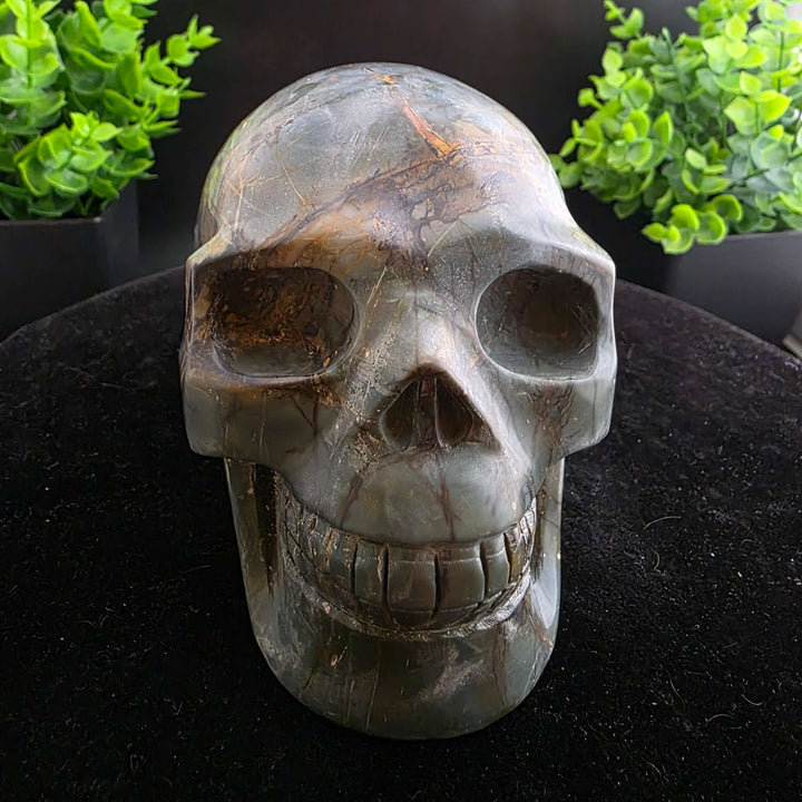 Cherry Creek Jasper Skull Carving - 4.5in