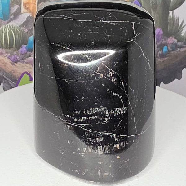 Polished Black Tourmaline Freeform