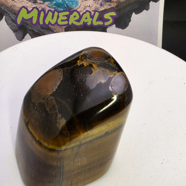 Polished Tiger's Eye freeform showcasing golden colors and chatoyancy, perfect for mineral collectors and decor.