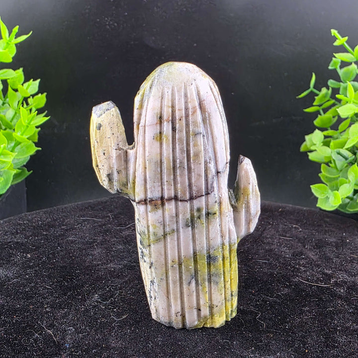 Saguaro Cactus Carving from Peru