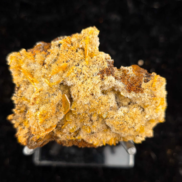Vibrant Wulfenite specimen from Erupción-Ahumada Mine, Mexico, showcasing classic tetragonal crystal habit.