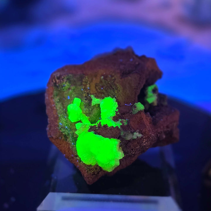 Vibrant Adamite Specimen from Ojuéla Mine exhibiting glowing green crystal formations.