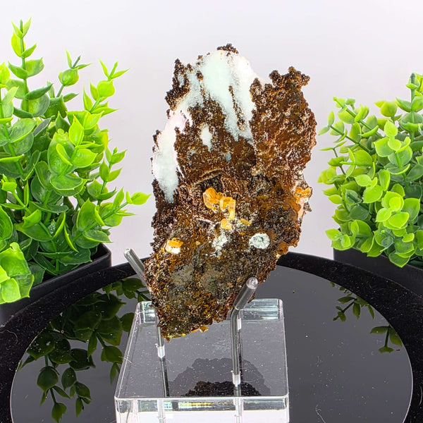 Wulfenite - Erupción-Ahumada Mine, Mexico