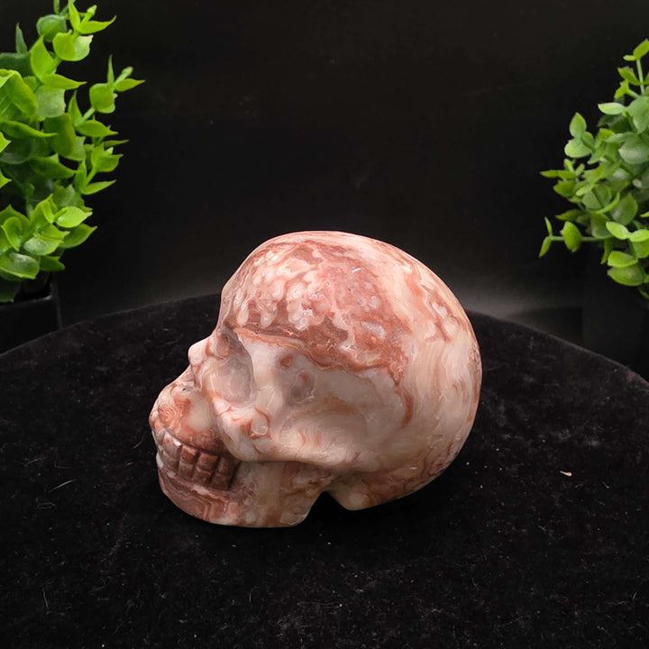 Amber Calcite Skull Carvings - 3 Inch - Stunning hand-carved skulls showcasing warm honey and caramel colors.