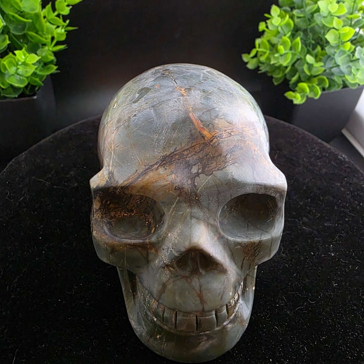 Cherry Creek Jasper Skull Carving - 4.5in