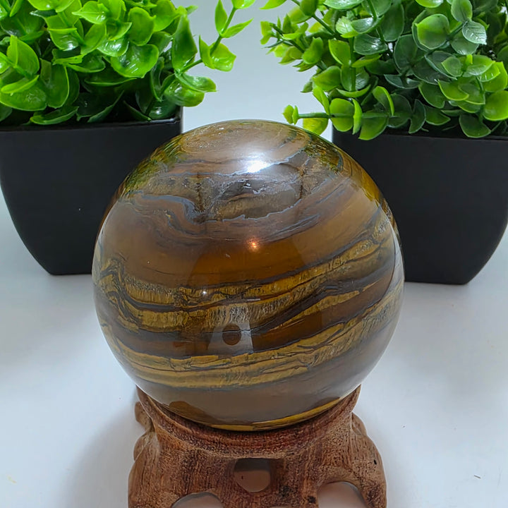 Tiger Iron Polished Sphere Ball - 3.2 Inch displayed on a wooden stand with decorative plants in the background.