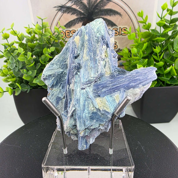Blue Kyanite - Brazil