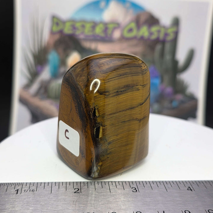 Polished Tiger's Eye freeform with golden chatoyancy and smooth texture on a display surface.