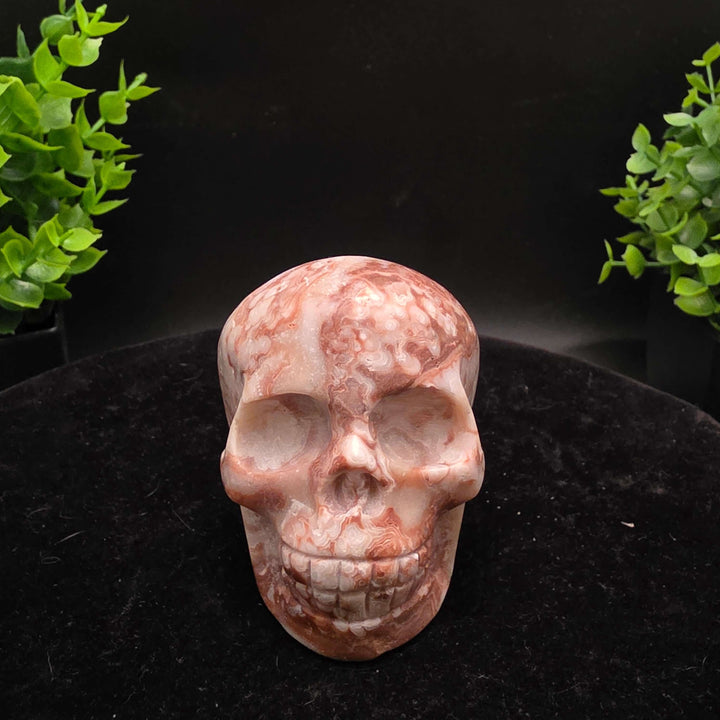 Amber Calcite Skull Carvings - 3 Inch - Stunning hand-carved skulls showcasing warm honey and caramel colors.