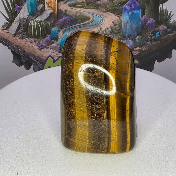 Polished Tiger's Eye freeform showcasing golden color and chatoyancy on a display surface.