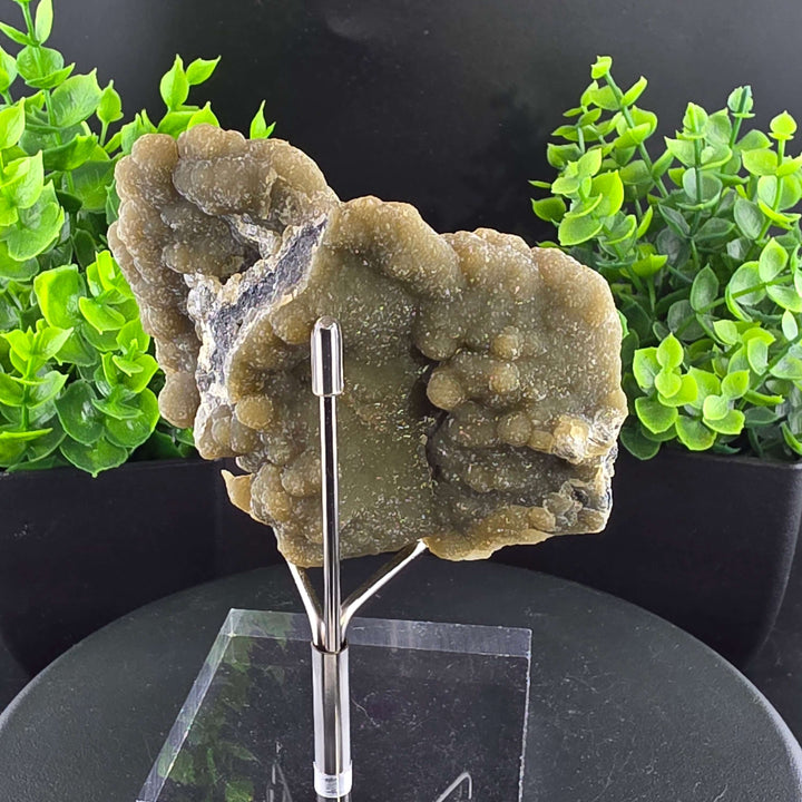 Smithsonite Specimen from Ojuela Mine