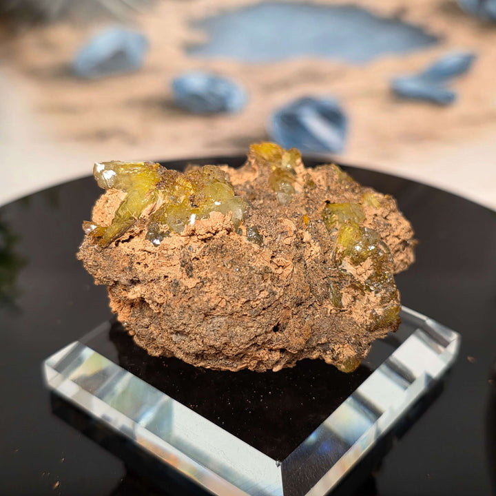 Vibrant Adamite Specimen from Ojuéla Mine exhibiting glowing green crystal formations.