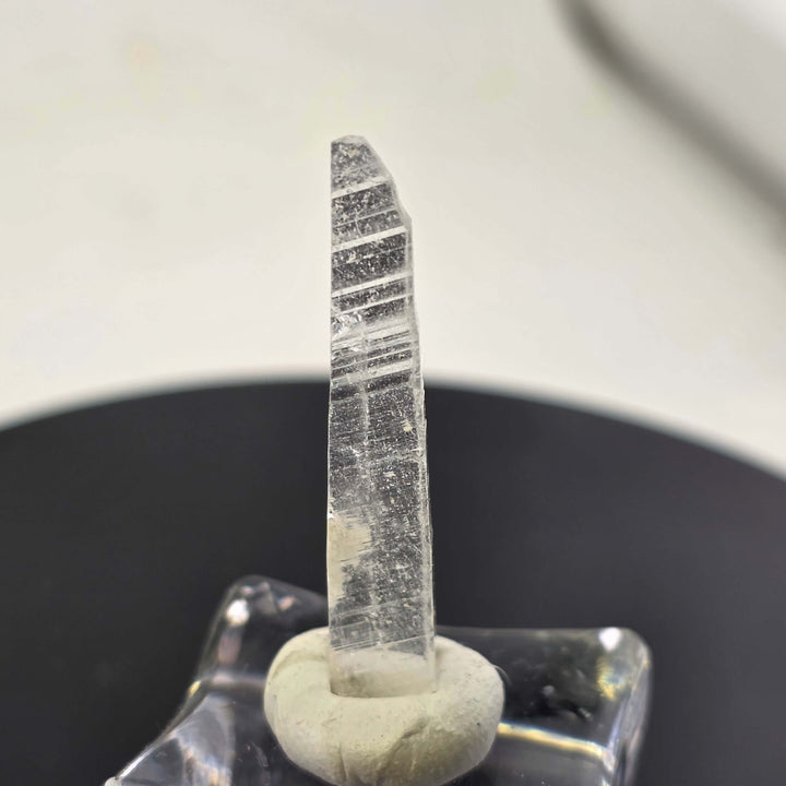 Nifontovite specimen - Rey y Reina Mine Charcas Mexico displayed on a clear base with a white background.