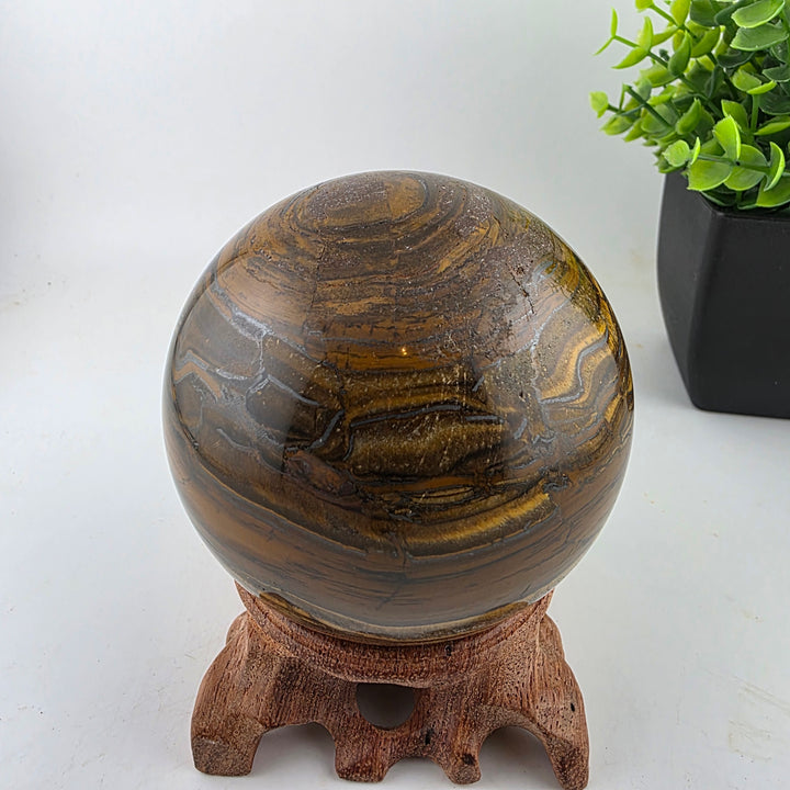 Tiger Iron Polished Sphere Ball - 3.2 Inch displayed on a wooden stand with decorative plants in the background.