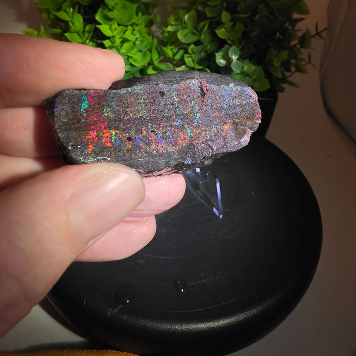 Andamooka Matrix Opal Slab Slice showcasing vibrant colors and natural matrix texture in wet condition