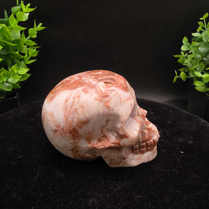 Amber Calcite Skull Carvings - 3 Inch - Stunning hand-carved skulls showcasing warm honey and caramel colors.