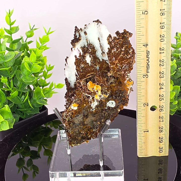 Wulfenite - Erupción-Ahumada Mine, Mexico