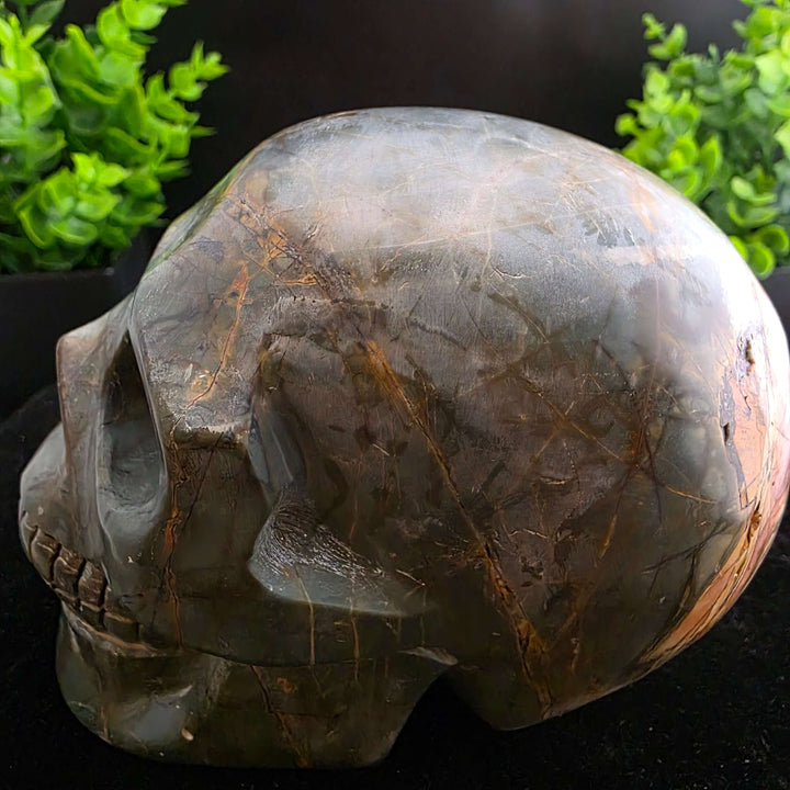 Cherry Creek Jasper Skull Carving - 4.5in