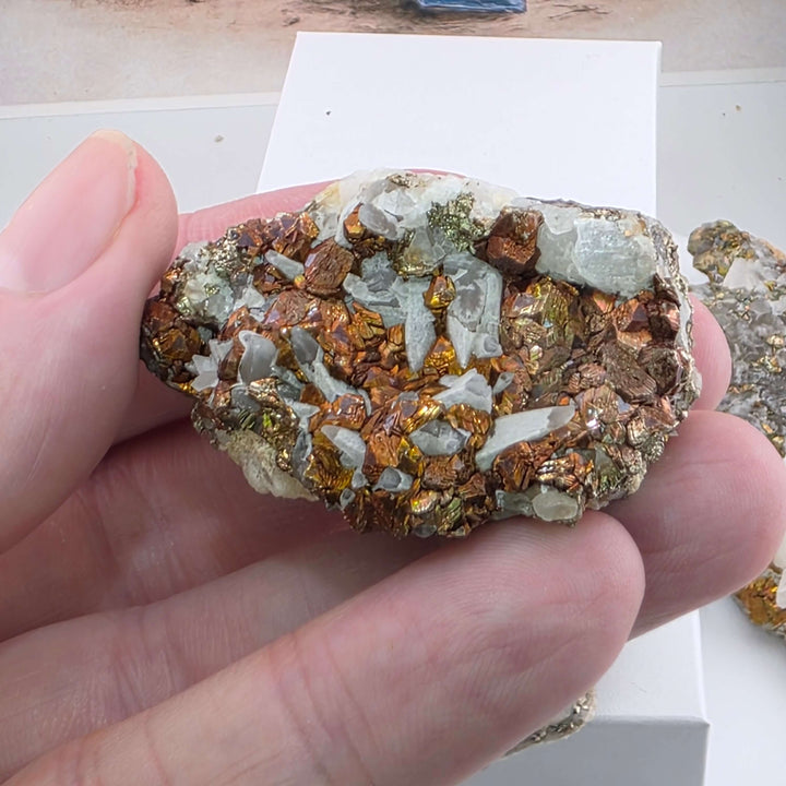 Iridescent Marcasite on Mangano Calcite