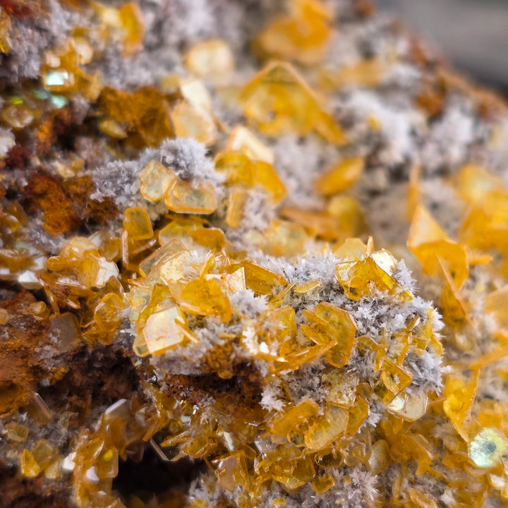 Vibrant Wulfenite specimen from the Erupción-Ahumada Mine in Mexico, showcasing classic tetragonal crystal habit.