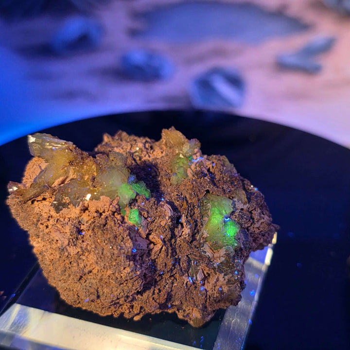 Vibrant Adamite Specimen from Ojuéla Mine exhibiting glowing green crystal formations.