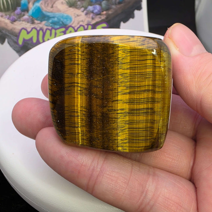 Polished Tiger's Eye freeform with golden chatoyancy held in hand, showcasing its shimmering texture.