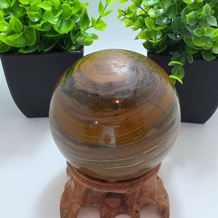 Tiger Iron Polished Sphere Ball - 3.2 Inch displayed on a wooden stand with decorative plants in the background.