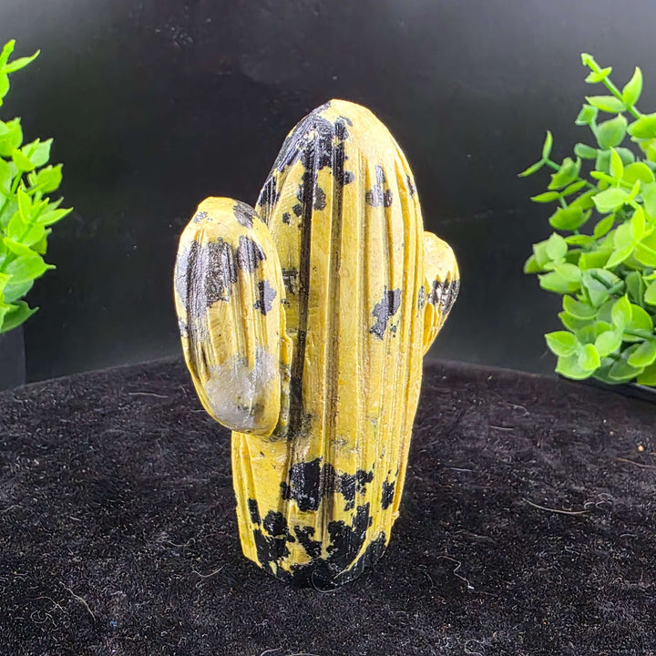 Saguaro Cactus Carving from Peru